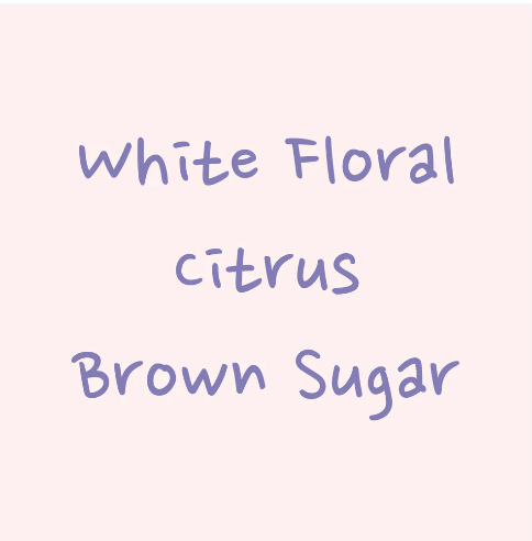 Hydrangea - Janson Lot 1003 - Gesha