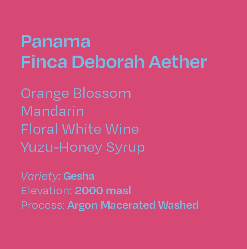 Helm Coffee - Finca Deborah (Panama) - Aether Argon Macerated Washed Gesha | 50g