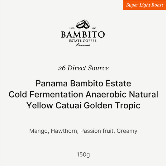 Big Sur - Bambito Estate Golden Cold Fermentation (Panama) - Anaerobic Natural Yellow Catuai | 50g