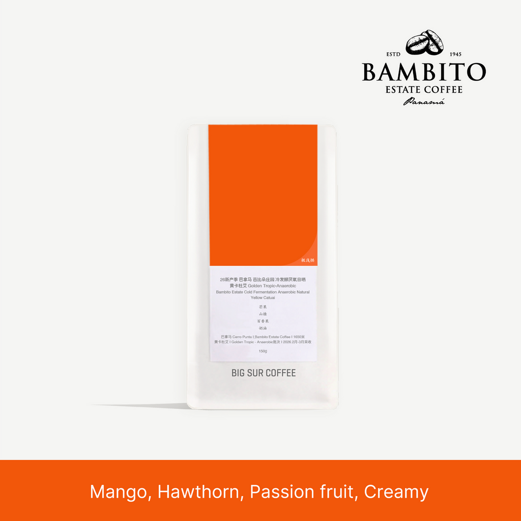 Big Sur - Bambito Estate (Panama) - Natural Anaerobic Yellow Catuai | 50g