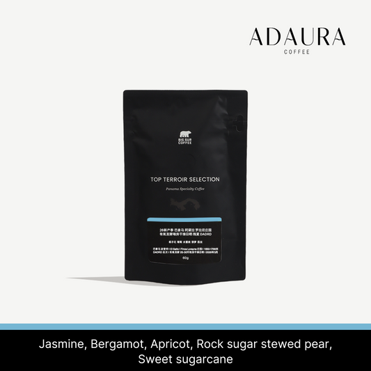 Big Sur - Finca Lorayne DR 2F Phase (Panama) - Gesha | 60g
