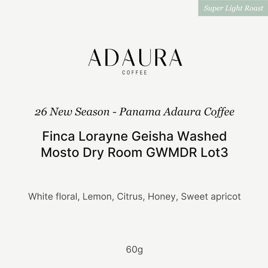 Big Sur - Finca Lorayne GWMDR Lot 3 (Panama) - Gesha | 60g