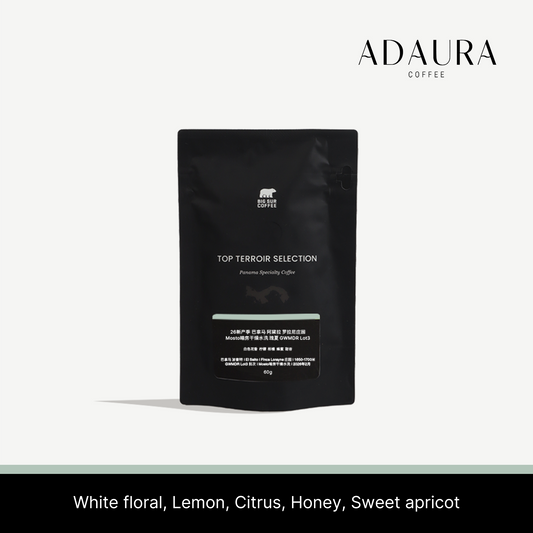 Big Sur - Finca Lorayne GWMDR Lot 3 (Panama) - Gesha | 60g