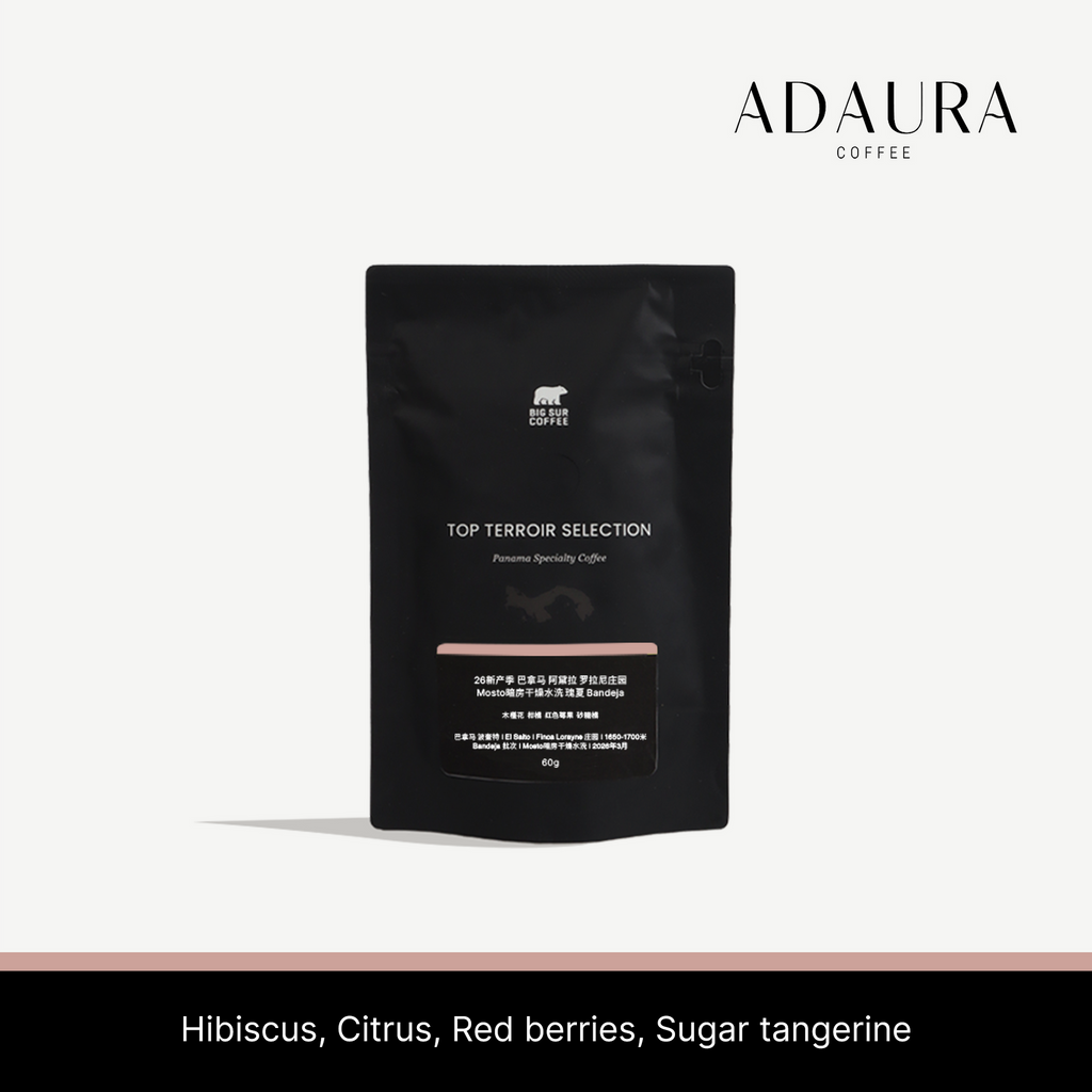 Big Sur - Finca Lorayne Bandeja (Panama) - Gesha | 60g