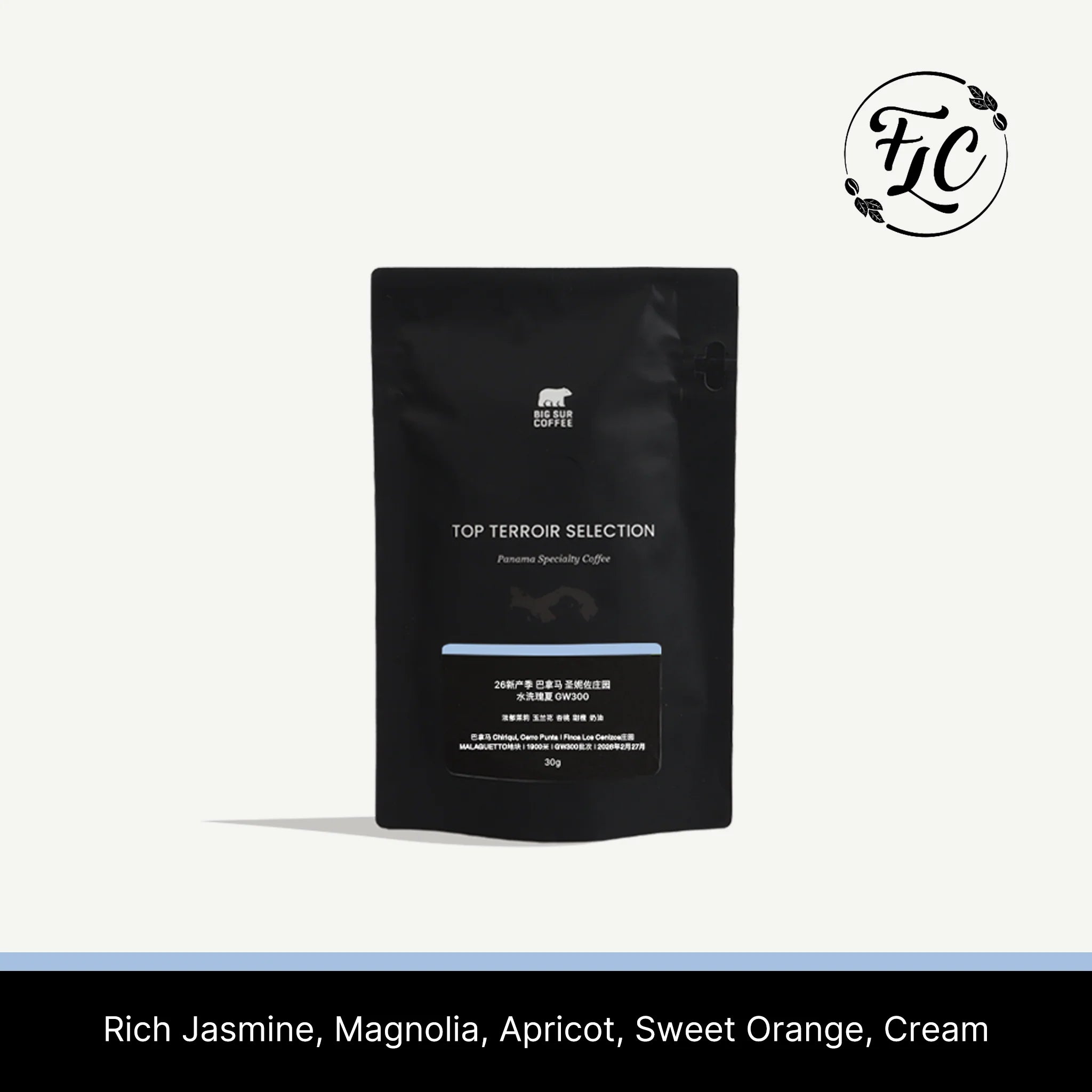 Big Sur - Los Cenizos GW300 (Panama) - Washed Geisha | 30g