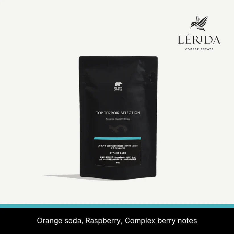 Big Sur - Finca Lerida Michela Estate (Panama) - Washed SL34 | 60g
