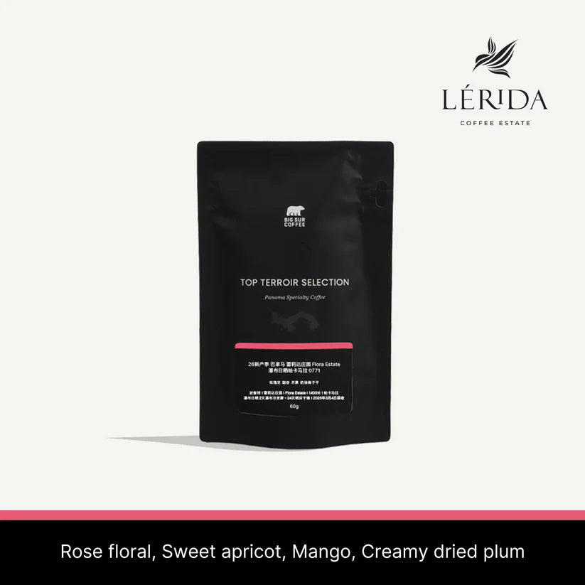 Big Sur - Finca Lerida Flora Estate (Panama) - Natural Pacamara | 60g