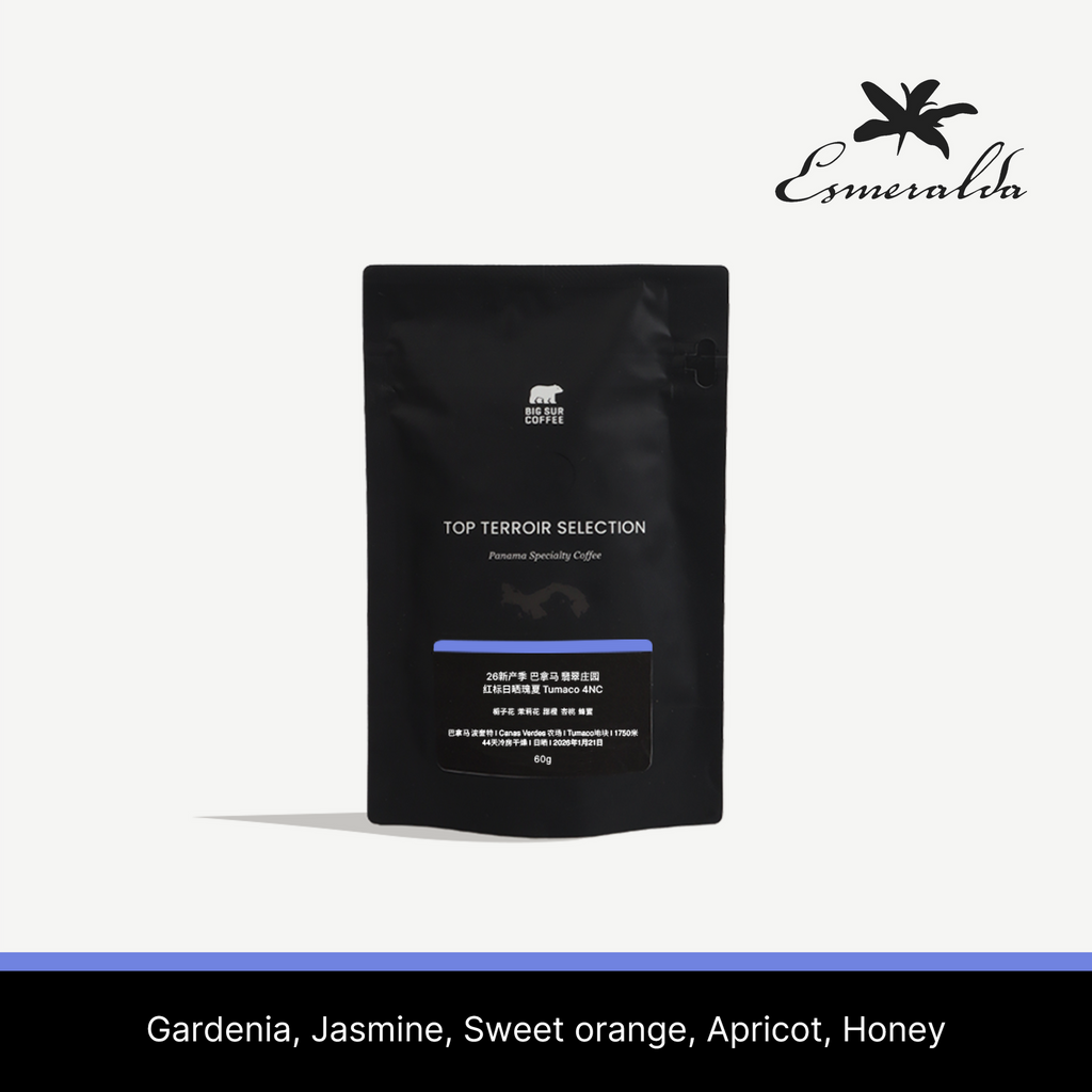 Big Sur - Esmeralda Tumaco 4NC (Panama) - Gesha | 60g