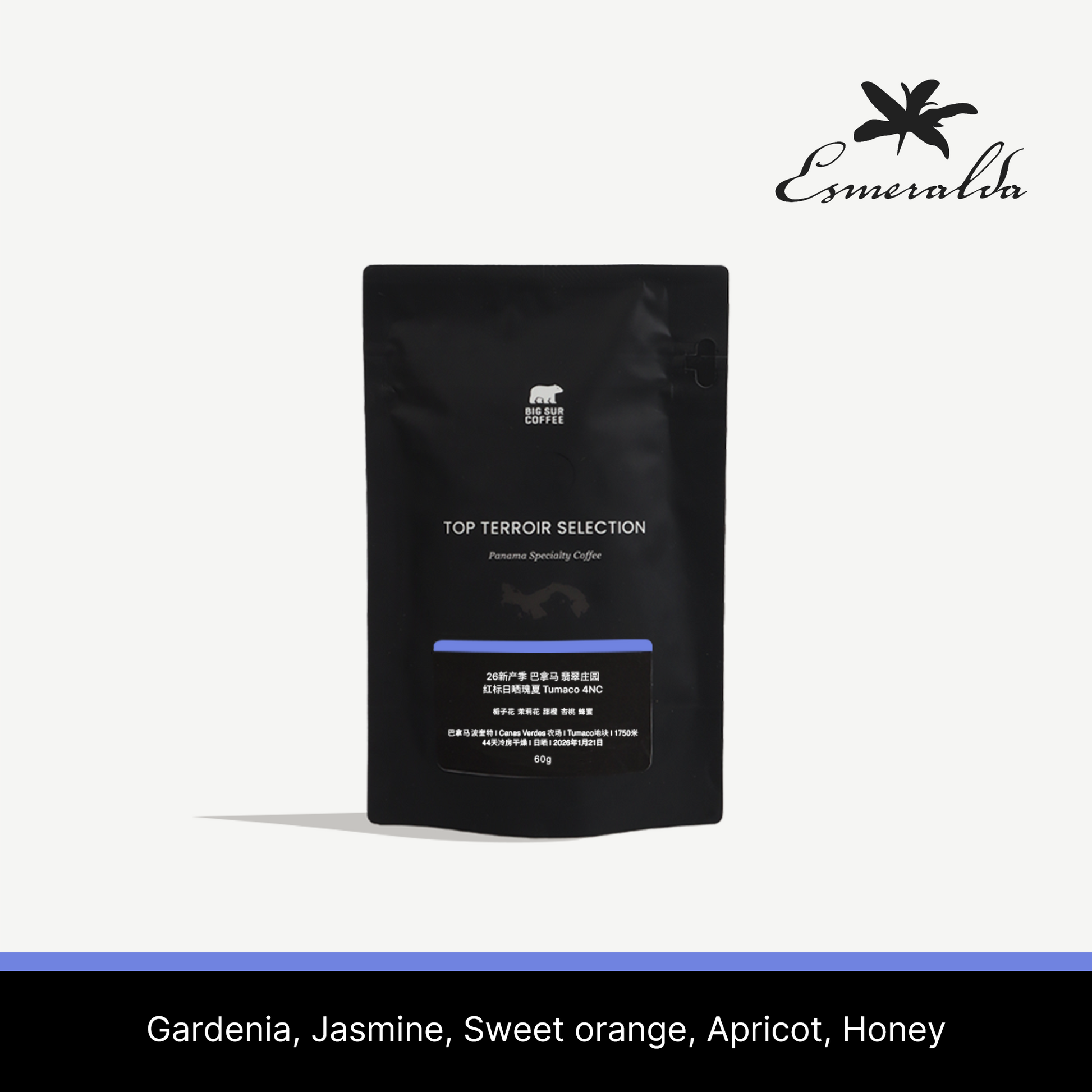 Big Sur - Esmeralda Tumaco 4NC (Panama) - Gesha | 60g