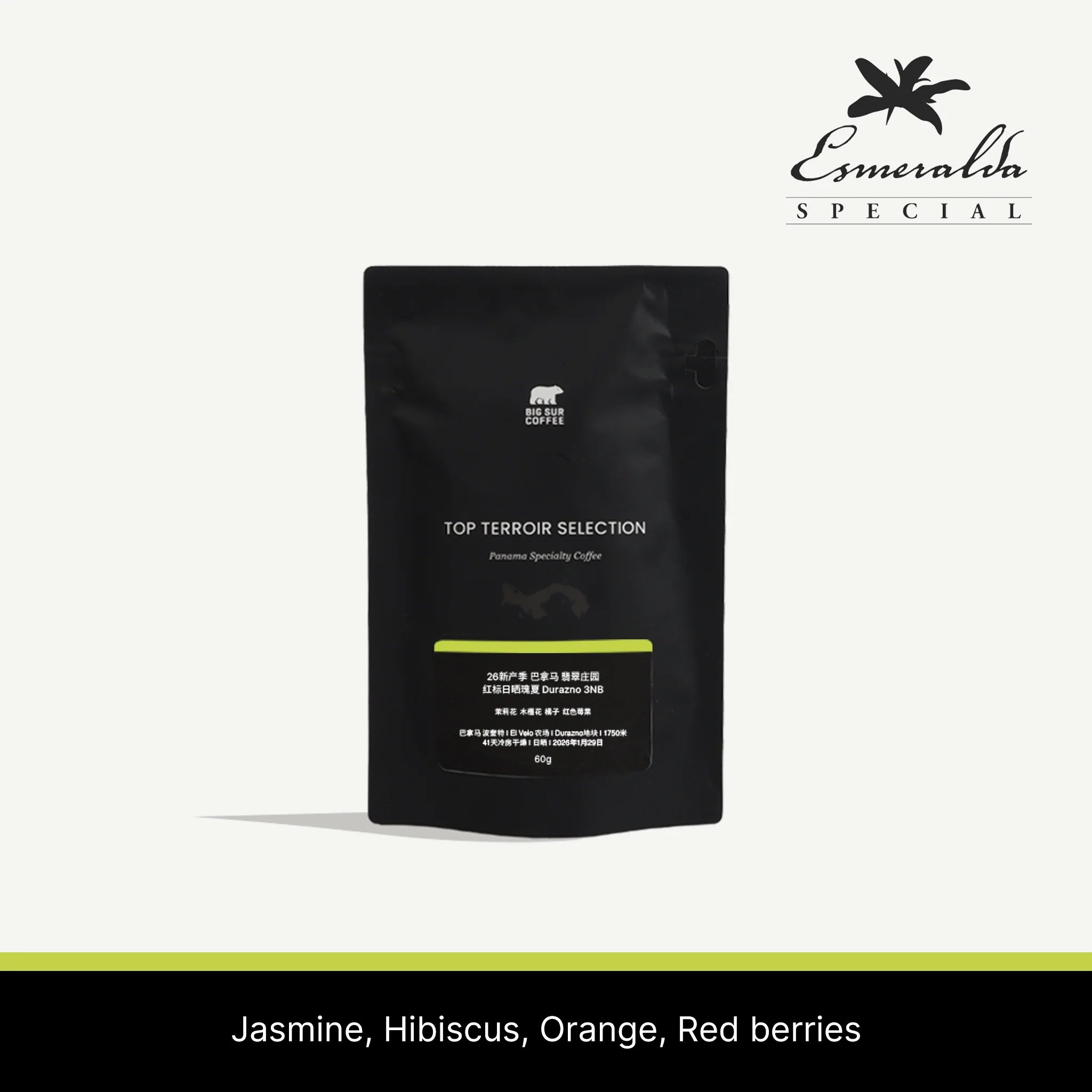 Big Sur - Esmeralda Durazno 3NB (Panama) - Natural Gesha | 60g