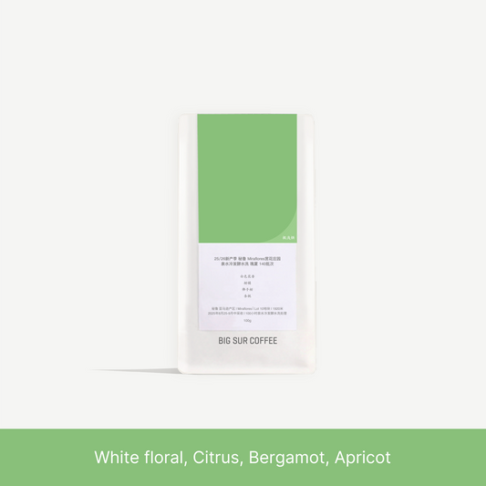 Big Sur - Finca Miraflores Lot 140 (Peru) - Washed Gesha | 50g