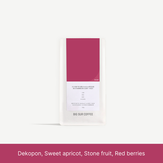 Big Sur - Finca Miraflores Lot 144 (Peru) - Red Bourbon | 50g