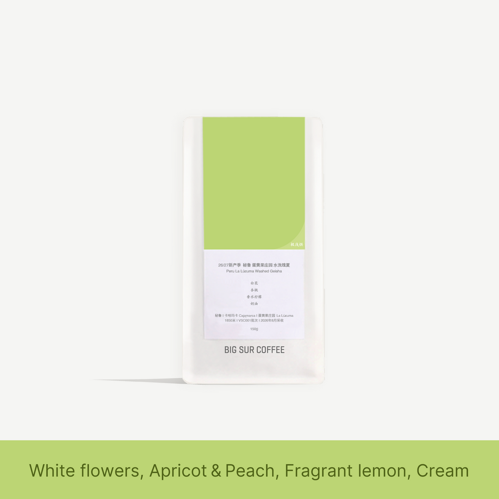 Big Sur - La Lucuma (Peru) - Washed Gesha | 50g