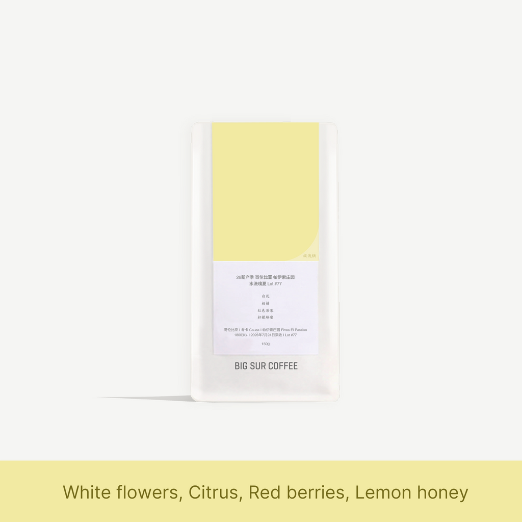 Big Sur - Finca El Paraiso (Colombia) - Washed Gesha | 50g