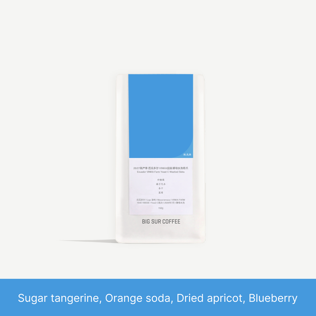 Big Sur - VINKA farm (Ecuador) - Washed Sidra | 50g