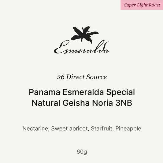 Big Sur - HLE Noria 3NB (Panama) - Gesha | 60g