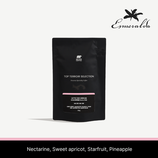 Big Sur - HLE Fundador 3ANB (Panama) - Gesha | 60g
