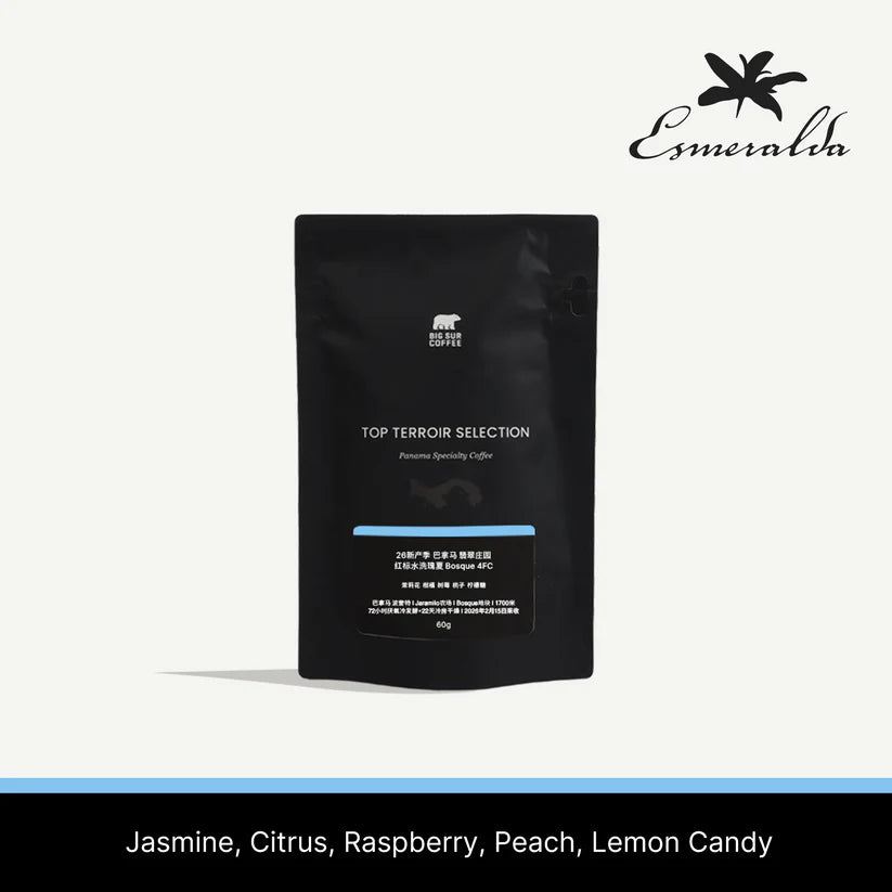 Big Sur - Esmeralda Special Bosque 4FC (Panama) - Washed Gesha | 60g