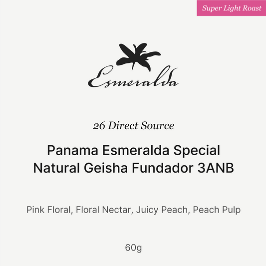 Big Sur - HLE Fundador 3ANB (Panama) - Gesha | 60g