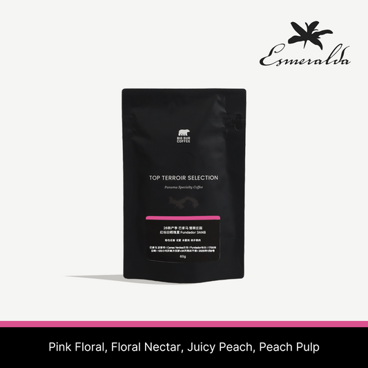 Big Sur - HLE Noria 3NB (Panama) - Gesha | 60g