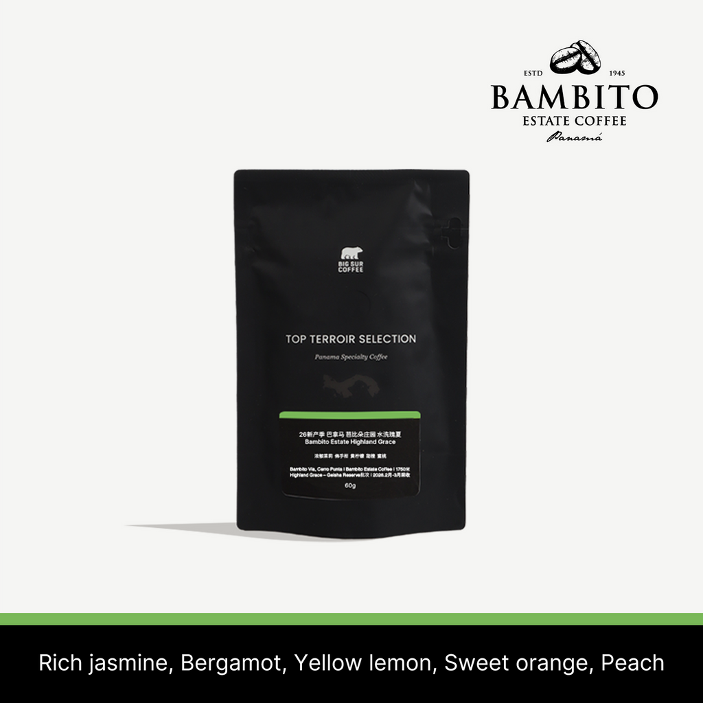 Big Sur - Bambito Estate Highland Grace (Panama) - Washed Gesha | 60g