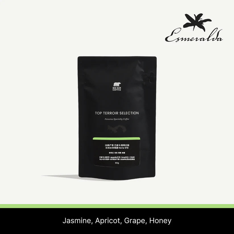 Big Sur - Esmeralda Special Noria 5FB (Panama) - Washed Geisha | 60g