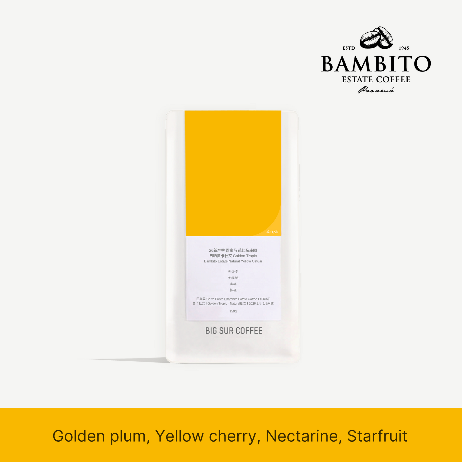 Big Sur - Bambito Estate (Panama) - Natural Yellow Catuai | 50g