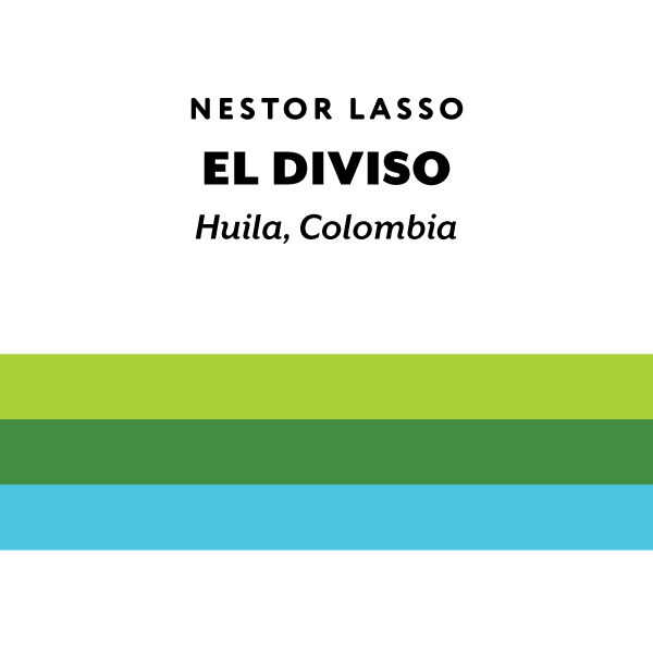 H&S Coffee Roasters - El Diviso (Colombia) | 50g