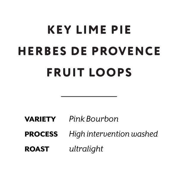 H&S Coffee Roasters - El Diviso (Colombia) | 50g