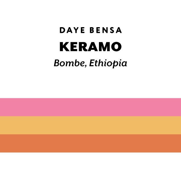 H&S Coffee Roasters - Keramo (Ethiopia) - 74112 | 50g