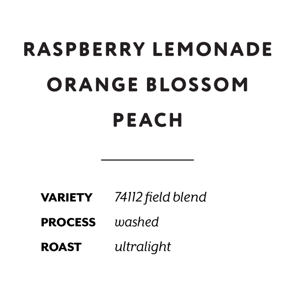 H&S Coffee Roasters - Keramo (Ethiopia) - 74112 | 50g