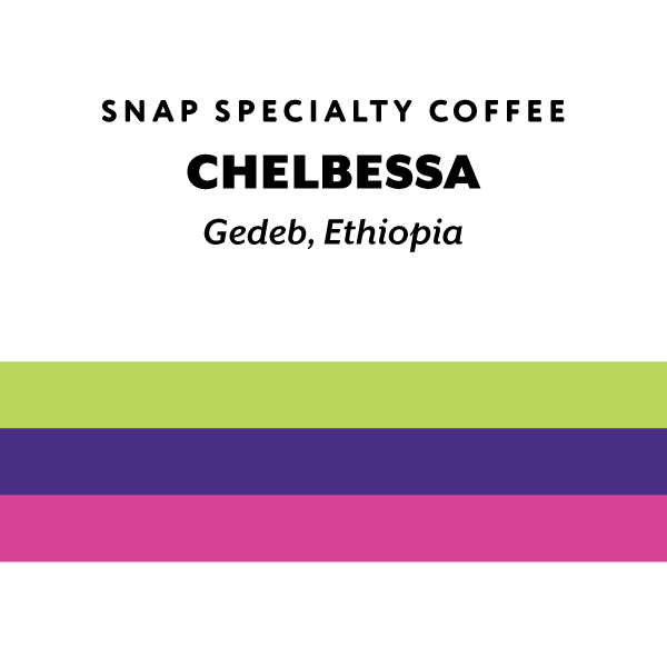 H&S Coffee Roasters - Chelbessa (Ethiopia) - Kurume | 50g
