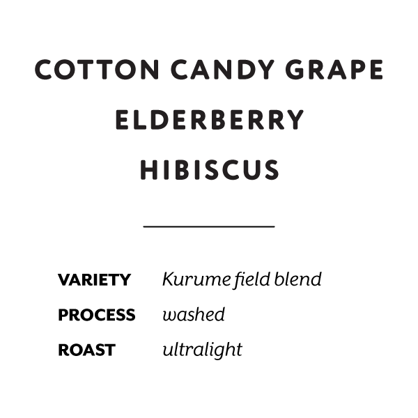 H&S Coffee Roasters - Chelbessa (Ethiopia) - Kurume | 50g