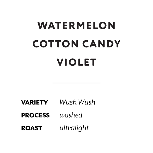 H&S Coffee Roasters - Faver Ninco (Colombia) - Wush Wush | 50g