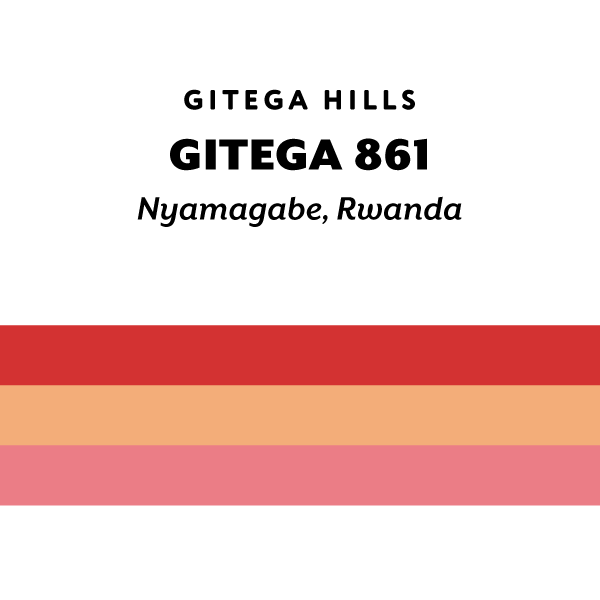 H&S Coffee Roasters - Gitega 861 (Rwanda) - Red Bourbon | 50g