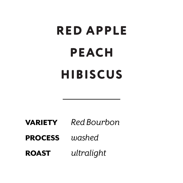 H&S Coffee Roasters - Gitega 861 (Rwanda) - Red Bourbon | 50g