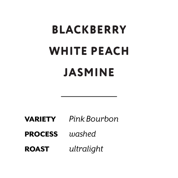 H&S Coffee Roasters - Yessica Parra (Colombia) - Washed Pink Bourbon | 50g