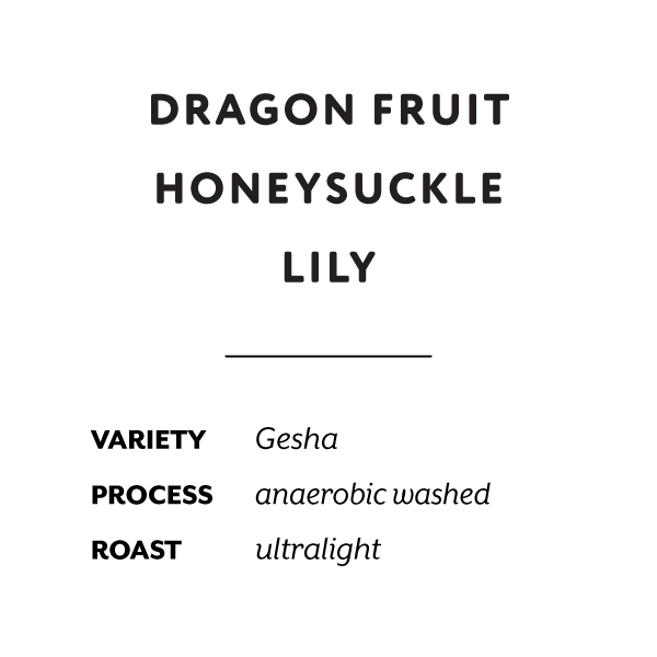 H&S Coffee Roasters - Roger x Eli (Peru) - Gesha | 50g