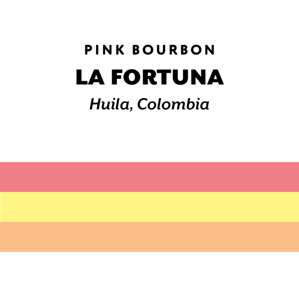 H&S Coffee Roasters - La Fortuna (Colombia) - Washed Pink Bourbon | 50g
