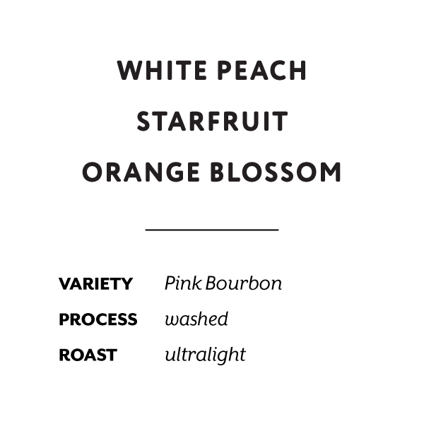 H&S Coffee Roasters - La Fortuna (Colombia) - Washed Pink Bourbon | 50g