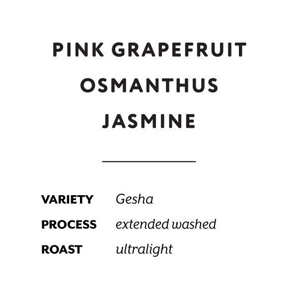 H&S Coffee Roasters - Yulisa Carhuallocllo Washed (Peru) - Gesha | 50g