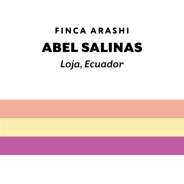 H&S Coffee Roasters - Abel Salinas Washed (Ecuador) - Typica Mejorado | 50g