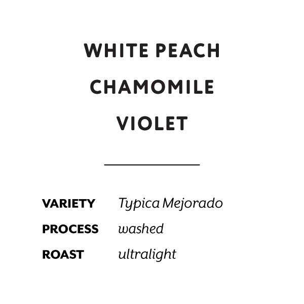 H&S Coffee Roasters - Abel Salinas Washed (Ecuador) - Typica Mejorado | 50g