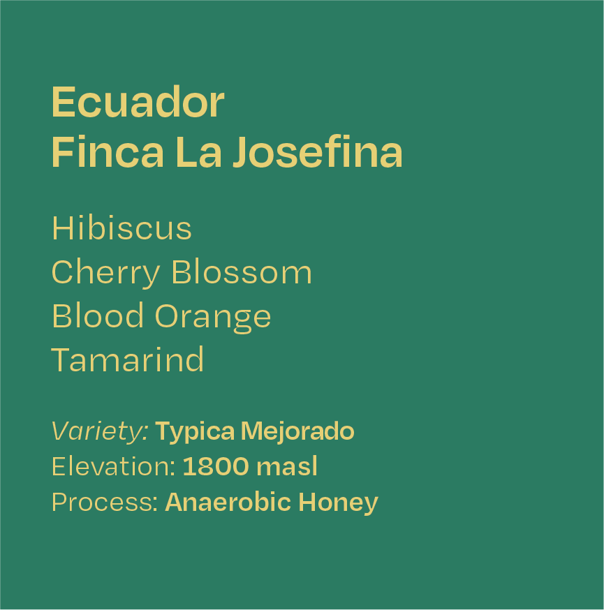 Helm Coffee - Finca La Josefina (Ecuador) - Ana. Honey Typica Mejorado | 50g