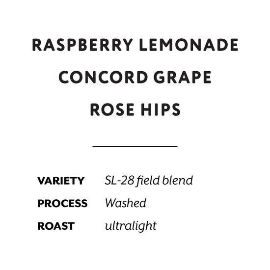 H&S Coffee Roasters - Karani AA (Kenya) - Washed SL28 | 50g