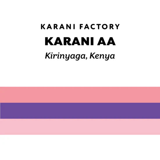 H&S Coffee Roasters - Karani AA (Kenya) - Washed SL28 | 50g