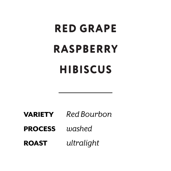 H&S Coffee Roasters - Mikuba 8 (Burundi) - Washed Red Bourbon | 50g