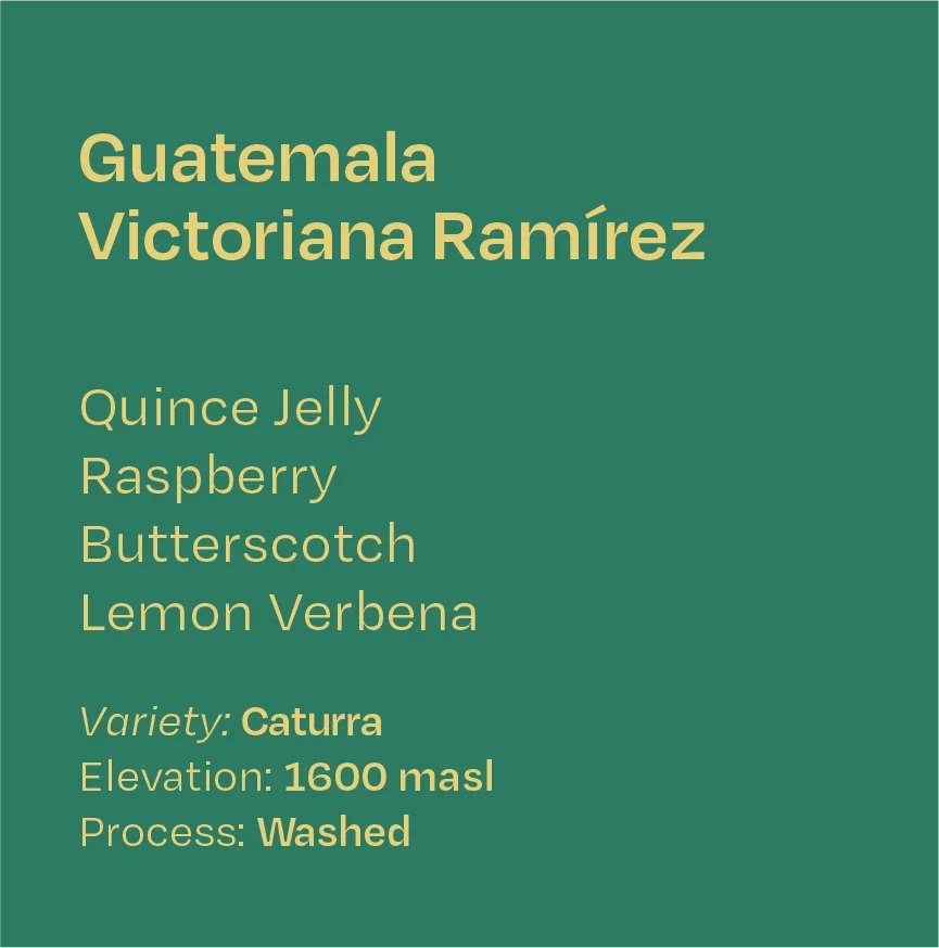 Helm Coffee - Victoriana Ramirez (Guatemala) - Washed Caturra | 200g
