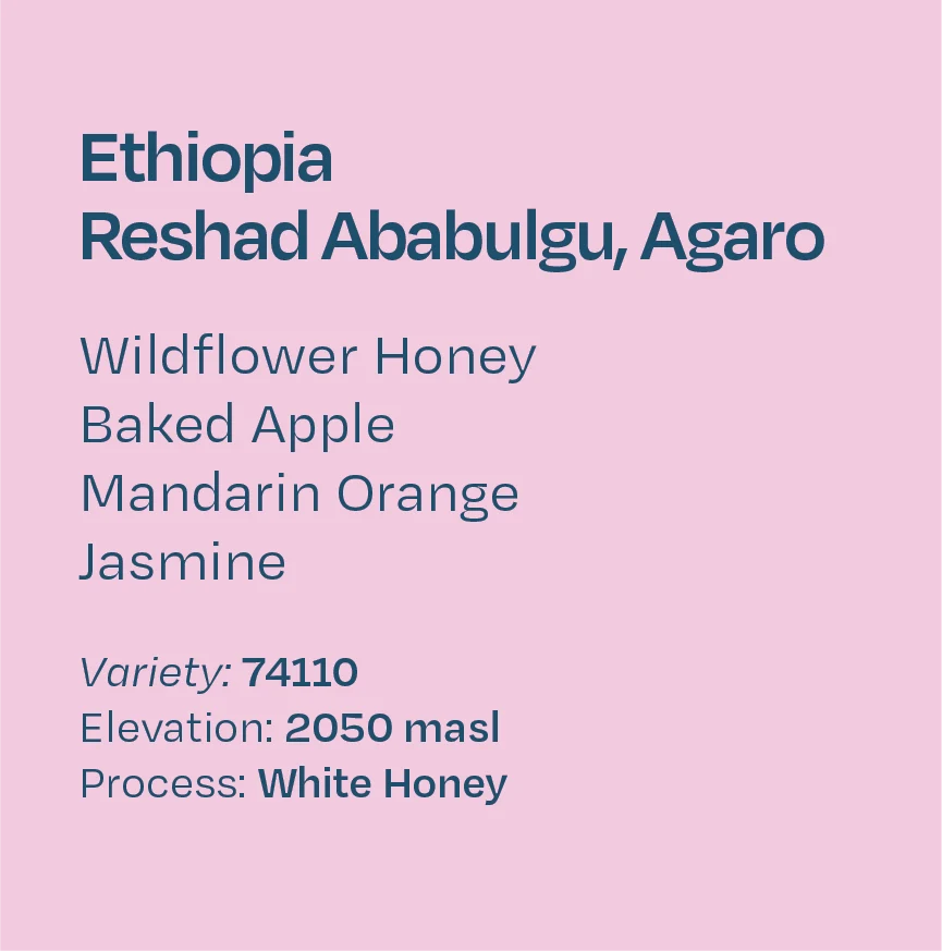 Helm Coffee - Reshad Ababulgu (Ethiopia) - White Honey 74110 | 50g