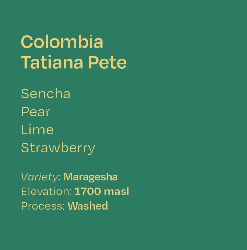 Helm Coffee - Tatiana Pete (Colombia) - Washed Maragesha  | 50g